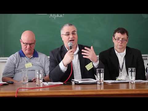 Institutional Perspectives   Corneliu Constantineanu