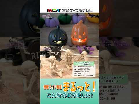 フライングタイガー コペンハーゲン イオンモール宮崎ストア　情報ワイド番組まるっと!「こんなのありました！」 #フライングタイガー #ハロウィン #ハロウィングッズ #まるっと
