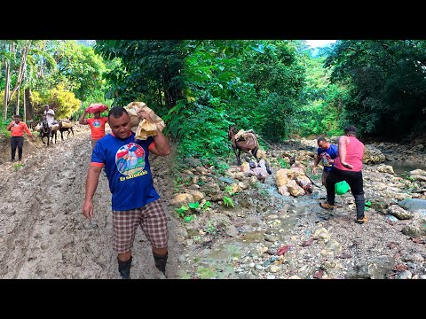 Increible lo que pasamos para entregar esta Naviad, La Vida del Campo