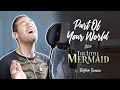 Part Of Your World - The Little Mermaid (cover by Stephen Scaccia)