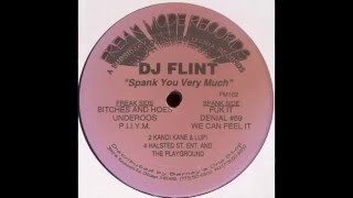 DJ Flint - Bitches And Hoes