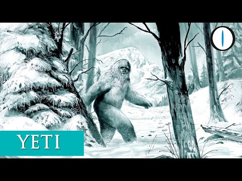 Lo YETI non è un ORSO!