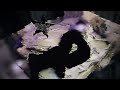 Overtonight Downtown Baby 2 Official Visualizer