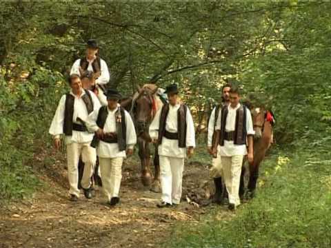 Obârşia - Pe valea Vezii