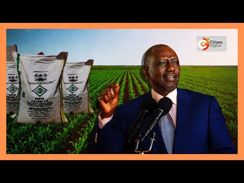 Ruto @3: Mixed economic scorecard as food costs remain high, poverty persists
