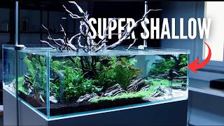 I built a 90cm square and freestanding aquarium in my studio