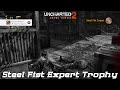 Uncharted 2: Among Thieves Remastered - Steel Fist Expert Trophy