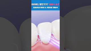 강서자연치과의원 서상현