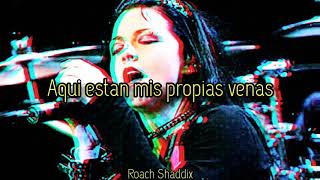 Evanescence - The Last Song I&#39;m Wasting On You. &#39;&#39;Sub. Español&#39;&#39;. ( Bonus Track )