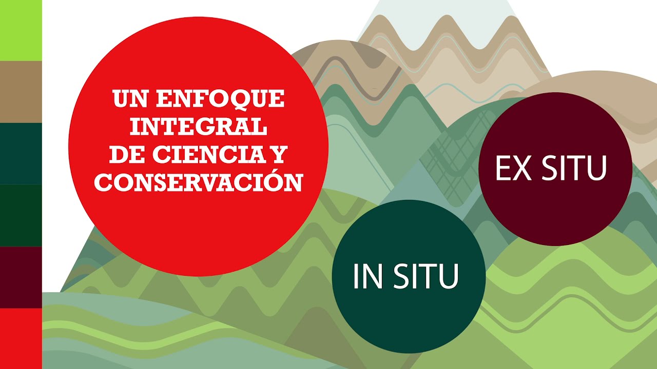 Un enfoque integral de ciencia y conservación