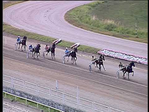 Trotto 22/06/2019 - 1ª prova di qualifica