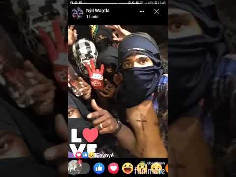 VDMKRS ORGANISATION MALFRAT RUELOV