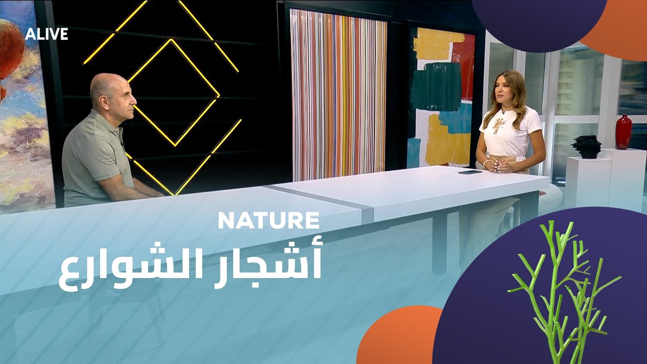 Nature - 12/08/2025 - أشجار الشوارع