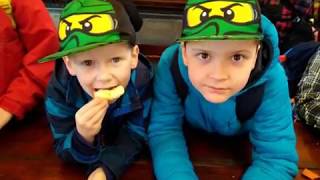 Rokfortská škola v prírode - video