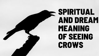 |Spiritual And Dream Meaning Of Seeing Crows|