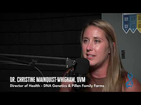 Agalactia in the Sow Herd