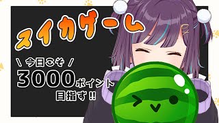 【スイカゲーム】今日こそ…ハロウィンアップデートきたっ