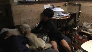飼い犬と遊ぶライブ