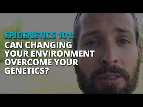 Epigenetics 101: Can Changing Your Environment Overcome Your Genetics?