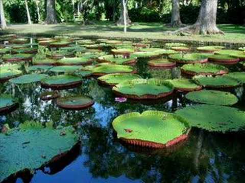 Rexy King N Sexy Queen - Lamisik