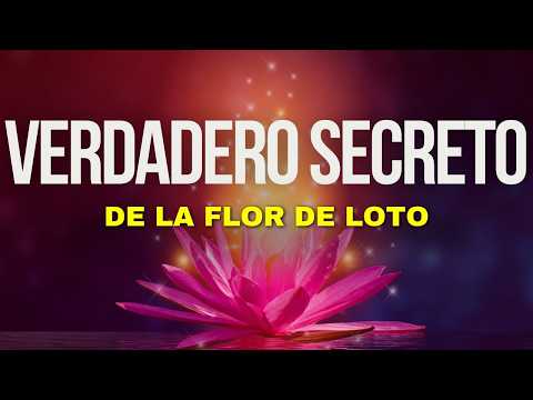 🌸EL VERDADERO SECRETO DE LA FLOR DE LOTO | Historia Budista JAMÁS CONTADA