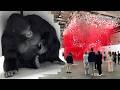 Art Basel Unlimited 2024 VIP Vernissage In Basel 4K