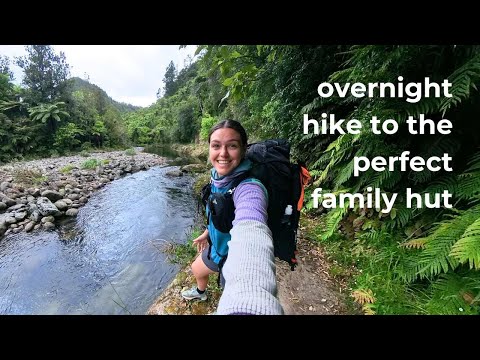 Waitawheta Hut | solo overnight hike | Kaimai Ranges, New Zealand