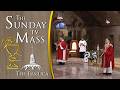 The Sunday Mass March 29 2026 Palm Sunday CC