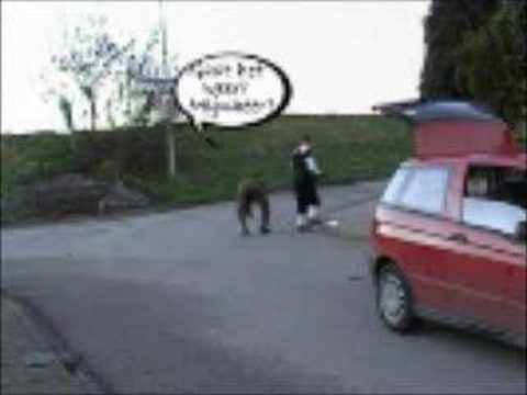 Vogelwaarde 3 gezustersdijk / Bosschestraat