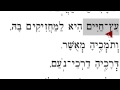 Eitz Chayim עץ חיים