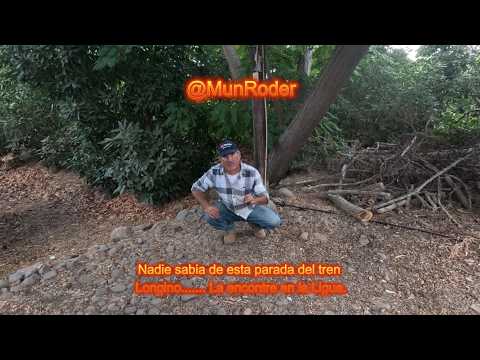 La parada olvidada en La Ligua.