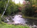 Van Morrison ~ Queen of the Slipstream 1988