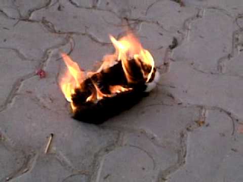 download lagu mp3 mp4 Guinea Pig On Fire, download lagu Guinea Pig On Fire gratis, unduh video klip Guinea Pig On Fire