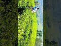 Travel Dialogue Whatsapp Status Tamil