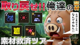【ワイルズ参加型】初見さん大歓迎！ナナイロカネや重鎧玉など枯渇素材回収しようぜ（Monster Hunter Wilds）