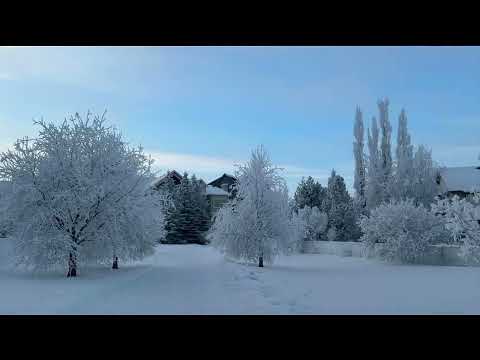 Hoarfrost in Airdrie, Alberta Canada. 