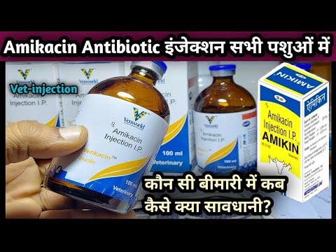 Vet-injection:-Amikacin Antibiotic use in Animals||Konsi Disease mein kab kase lagaye||Amikin/Venkac