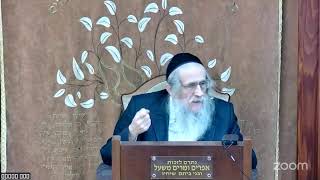 הרה"ג הרב וועכטר שליט"א י"ט שבט תשפ"ה מאמר הרבי (הרב אברהם מנחם מענדל וכטר) - התמונה מוצגת ישירות מתוך אתר האינטרנט יוטיוב. זכויות היוצרים בתמונה שייכות ליוצרה. קישור קרדיט למקור התוכן נמצא בתוך דף הסרטון