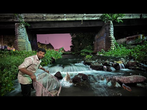 Got HUGE Fish Under the Bridge at 12AM! 🌙🫣 /JENISH KJ