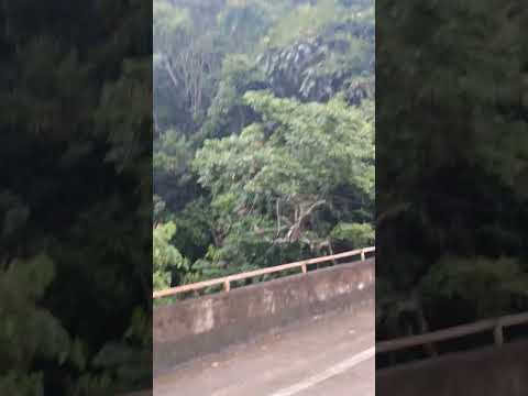 Cachoeira da Ponte,Santa Rita de Santa Rita do Jacutinga -MG