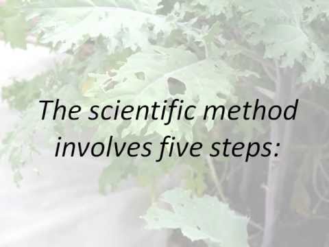 The Scientific Method Presentation