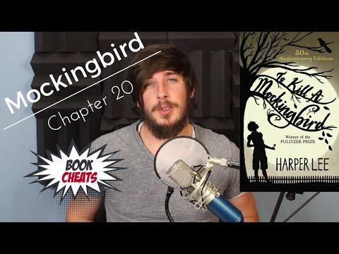 To Kill a Mockingbird Chapter 20 Summary