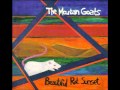 The Mountain Goats - Seeing Daylight