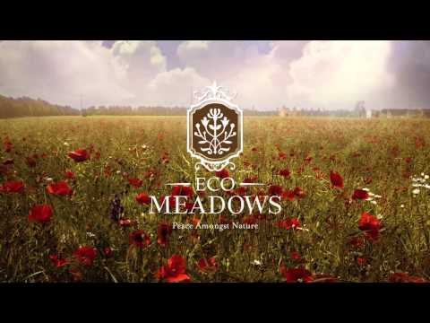 Eco Meadows video