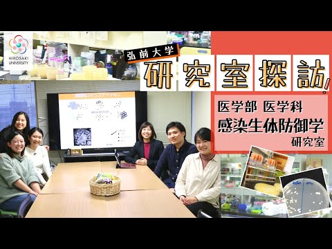【弘前大学 研究室探訪！】～医学部 医学科 感染生体防御学研究室（浅野クリスナ教授）編～