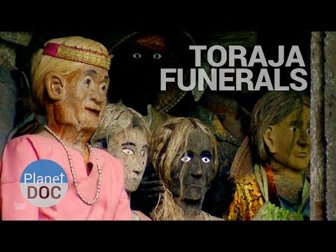 Toraja Funerals | Culture - Planet Doc Full Documentaries