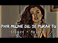 Phir Mujhe Dil Se Pukar Tu Mohit Garu Slowed Reverb Slowed