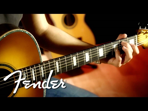 Fender Acoustic  Custom Shop | Newporter Custom Design | Fender
