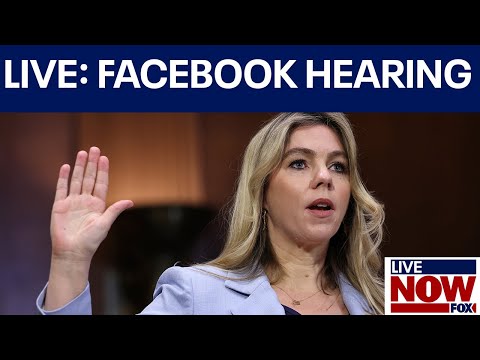 Video | Former Facebook employee testifies on Meta &amp; foreign relations