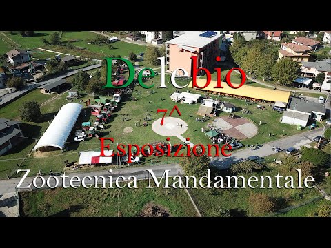 Delebio 7^ Esposizione zootecnica mandamentale 2022
